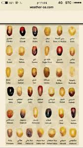 انواع التمور السعودي