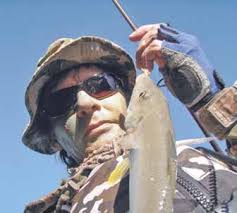 Vital protection order to save tree