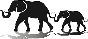 Download Human Behavior Wildlife Terrestrial Animal Png Clipart Royalty Free Svg Png