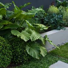 Brighton Garden Design By Lisa Ellis Gardens Landscapedesign Gardendesign Garden Design Land Creative Gardening Garden Landscape Design Food Garden Design