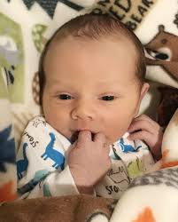 Chamois aldermen delay vote