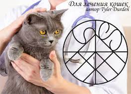 dlya lecheniya koshek runy zhivotnye glify