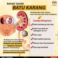 Batu karang atau kalkuli boleh ditemui di mana saja pada buah pinggang, ureter atau pundi kencing. Kkmalaysia On Twitter Penyakit Batu Karang Tidak Berlaku Dalam Tempoh Sehari Ia Mengambil Masa Antara 6 12 Bulan Sebelum Ia Menunjukkan Simptom Dapatkan Rawatan Dan Nasihat Daripada Pegawai Perubatan Di Klinik