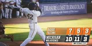 Build a medieval landscape, tile by tile, claim landmarks with your followers and score points. Michigan Baseball On Twitter Different Day Same Guy On The Score Graphic Nwogu Gets His First Career Home Run And Michigan Takes A 2 Game Lead In The Series Goblue Https T Co Rol6bqff1s