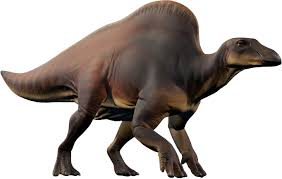 Many dinosaurs are known for the shocking array of spines, plates and sails adorning their bodies, and many more are distinguished by the horns sprouting instead of spines or sails, some dinosaurs have rows of plates on their backs. Ouranosaurus Jurassic World Evolution Wiki Fandom