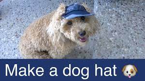 Make Dog Visor Hat Cap Diy Dog Food Groom Clothes A Tutorial By Cooking For Dogs Dog Clothes Diy Dog Hat Diy Dog Stuff