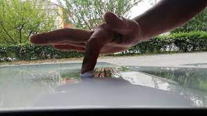 Tam bir şifa kaynağı olarak bilinen süt kefirinin faydaları saymakla bitmemekte. Su Zimparasi Nasil Yapilir Ve Kus Pisligi Nasil Gider Youtube