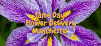 Send beautiful flowers from the flower shops, a reliable local uk florist 9 Best Options For Same Day Flower Delivery In Manchester Flower Delivery Reviews