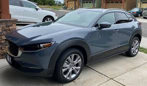 Image result for Polymetal Gray 2024 MX-30