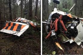 Самолет упал в нескольких десятках метров от жилых домов индустриального района перми. V Lesu Nashli Propavshij Chastnyj Samolet Pilot Pogib Novosti Permi I Permskogo Kraya Ia Tekst