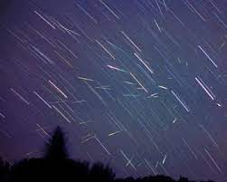 The site owner hides the web page description. æµæ˜Ÿç¾¤ æœç‹—ç™¾ç§'