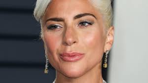 Another of lady gaga's bulldogs, asia, was unharmed in the incident. Lady Gaga Wurde Von Kommilitonen Bei Facebook Gemobbt