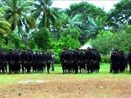 Pt outsourcing service indonesia adalah perusahaan jasa outsourcing swasta penyedia jasa keamanan security satpam, jasa tenaga kerja, jasa kebersihan, jasa supir, jasa staff administrasi di kota (dki) jakarta, tangerang, bandung, depok, bekasi, bogor, karawang, serang. Spm Security Pt Satya Putra Mandiri Youtube