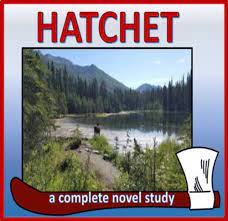 Hatchet Novel Guide Novel Studies Transition Words Novel Guides