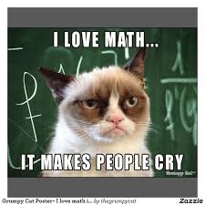 Math T Shirts Math Gifts Art Posters More Funny Grumpy Cat Memes Grumpy Cat Quotes Grumpy Cat Humor