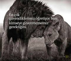 En Cok Guvendiklerimiz Ogretiyor Bize Kimseye Guvenmememiz Gerektigini Guzel Soz Ozlu Sozler