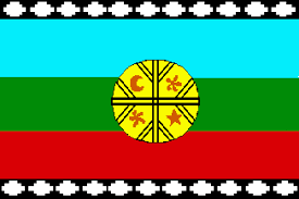 Banmapuche01 En 2020 Arte Mapuche Bandera Mapuche Cultura Mapuche
