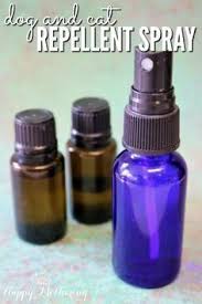 Great savings & free delivery / collection on many items. How To Use Essential Oils For Pets Cat Repellant Cat Repellent Spray Dog Spray