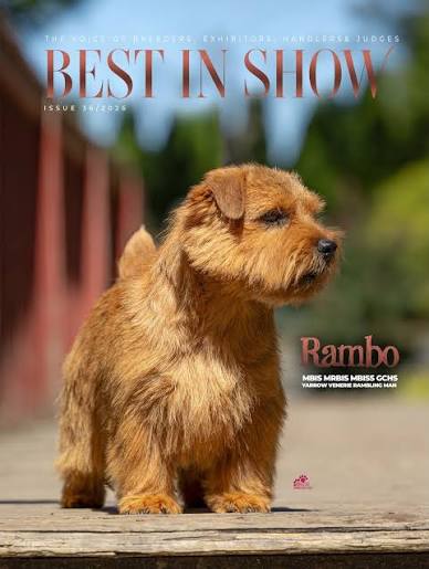 Best In Show (@BestinShowMagazine) • Facebook