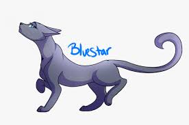 Maybe you would like to learn more about one of these? Bluestar Warrior Cats Cartoon Hd Png Download Transparent Png Image Pngitem