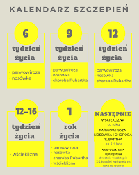 Główny inspektorat sanitarny opublikował kalendarz szczepień ochronnych na rok 2020. Szczepienia Psow Obowiazkowe I Te Na Ktore Warto Zwrocic Uwage Blog Karmimypsiaki