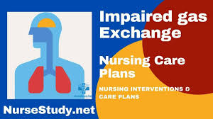 Educational card of the lesson: 5 Impaired Gas Exchange Nursing Care Plans Nursestudy Net