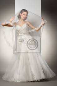 Was ist ein hochzeitskleid für eine standesamtliche trauung? Die Schone Junge Frau In Einem Hochzeitskleid Fototapete Fototapeten Schleier Leinen Brunette Myloview De