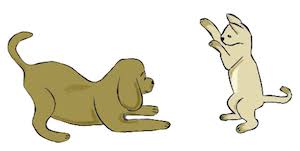 Find images of cartoon dog. Cat And Dog Playing Together Drawing Novocom Top
