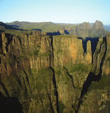 Image result for Styppeiochloa gynoglossa