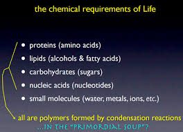 「primordial nucleic acids」的圖片搜尋結果