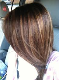 Spruce up your dirty blonde hair with some highlights and bottom layers. Medium Length Hair Highlights With Caramel Color