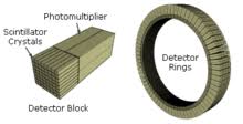 However most dedicated pet scanners use much denser crystals, and for over 20 years bismuth germanate 5, 6, 7 (commonly referred to as bgo, although its chemical formula is bi4ge3o12) has been the. Positron Emission Tomography Wikipedia