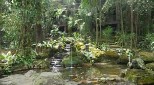 Find the reviews and ratings to know better. Kl Bird Park Admission Ticket With One Way Transfer In Kuala Lumpur