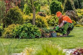 Hire the best lawn care services in albuquerque, nm on homeadvisor. 5 Benefits Of Using Professional Garden Maintenance Services Wow Decor