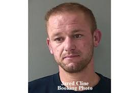 Burglary Suspect Apprehended