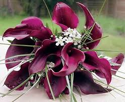 Calla lily inspired bridal bouquet. Pictures Of Calla Lily Bridal Bouquets Lovetoknow Purple Calla Lilies Calla Lillies Bouquet Calla Lily Bouquet Wedding