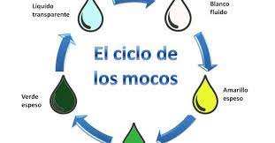Que Significan Los Distintos Colores De Los Mocos Consejos Para La Salud Actividad Fisica Y Salud Habitos De Vida