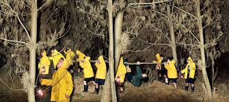 Bildergebnis für Anthony Goicolea