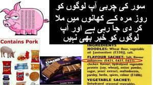 2.1 why there is ecode printed instead of pig fat. History Of Pig Fat And Halal E Codes In Hindi Urdu Youtube