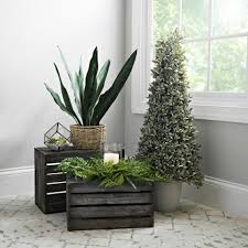 Adding Greenery Can Instantly Make Your Home Feel A Bit Homier Entryway Style Plant Hanger Entryway Decor
