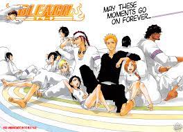 Thank You and Goodbye to Bleach | Daily Anime Art