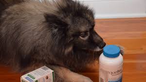 Maybe you would like to learn more about one of these? Veterinary Medicine Business For Beloved Pets Sumitomo Corporation