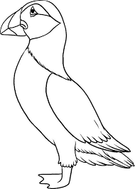 Top 10 Puffin Coloring Pages For Toddlers Coloring Pages Beach Glass Art Drawings