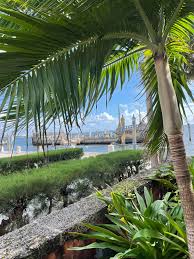 Image result for Triainolepis africana