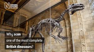 Why Scan One Of The Most Complete British Dinosaurs Natural History Museum Youtube