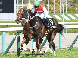 Check spelling or type a new query. Tucjdrquqlu4em