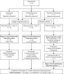 Flow Chart Of Patients Randomization To Completion Of