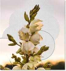 Simply get a method not allowed message. How To Use The Background Eraser Tool In Photoshop