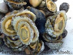 La Chronique Des Berniques Farcies Une Cuilleree Pour Papa Bernique Cuisine Poisson Cuisine Bretonne