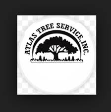 Has been providing quality tree services to new rochelle, ny and the surrounding areas. Atlas Tree Service Home Facebook